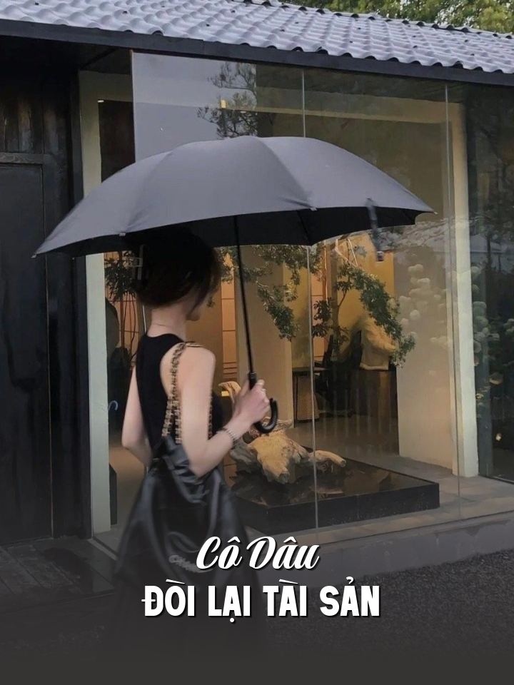
                            Cô Dâu Đòi Lại Tài Sản