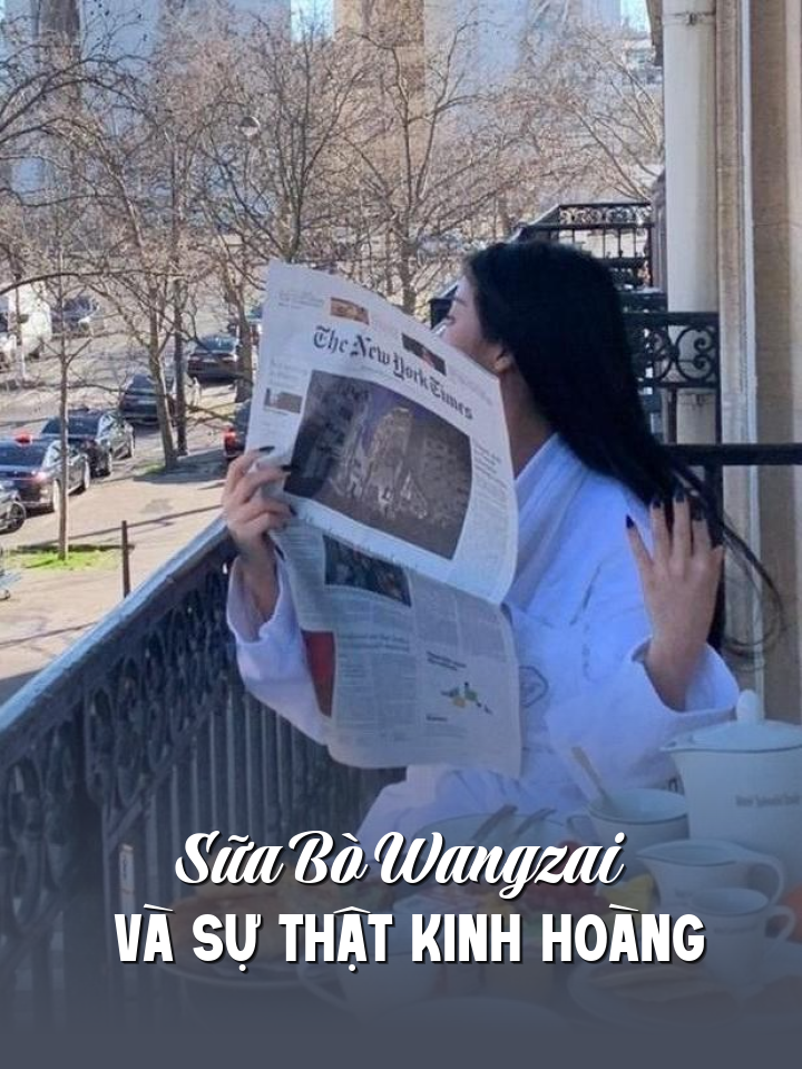 
                            Sữa Bò Wangzai Và Sự Thật Kinh Hoàng