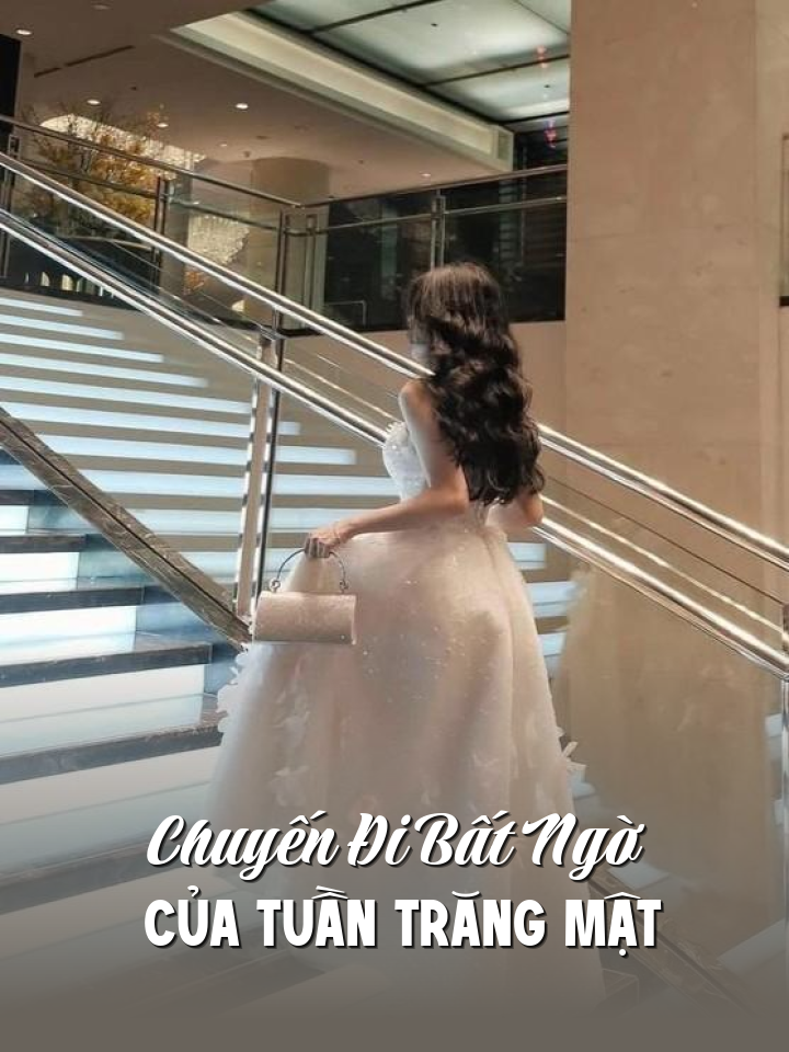 
                            Chuyến Đi Bất Ngờ Của Tuần Trăng Mật