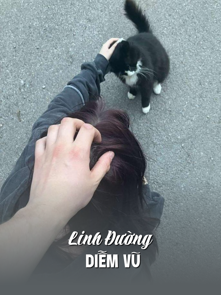 
                            Linh Đường Diễm Vũ