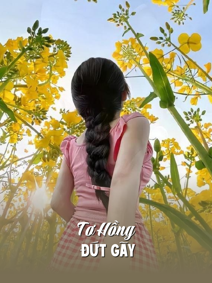 
                            Tơ Hồng Đứt Gãy