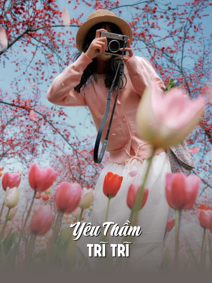
                            Yêu Thầm Trĩ Trĩ