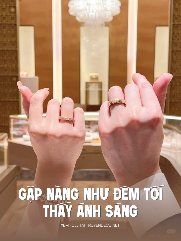 
                            Gặp Nàng Như Đêm Tối Thấy Ánh Sáng