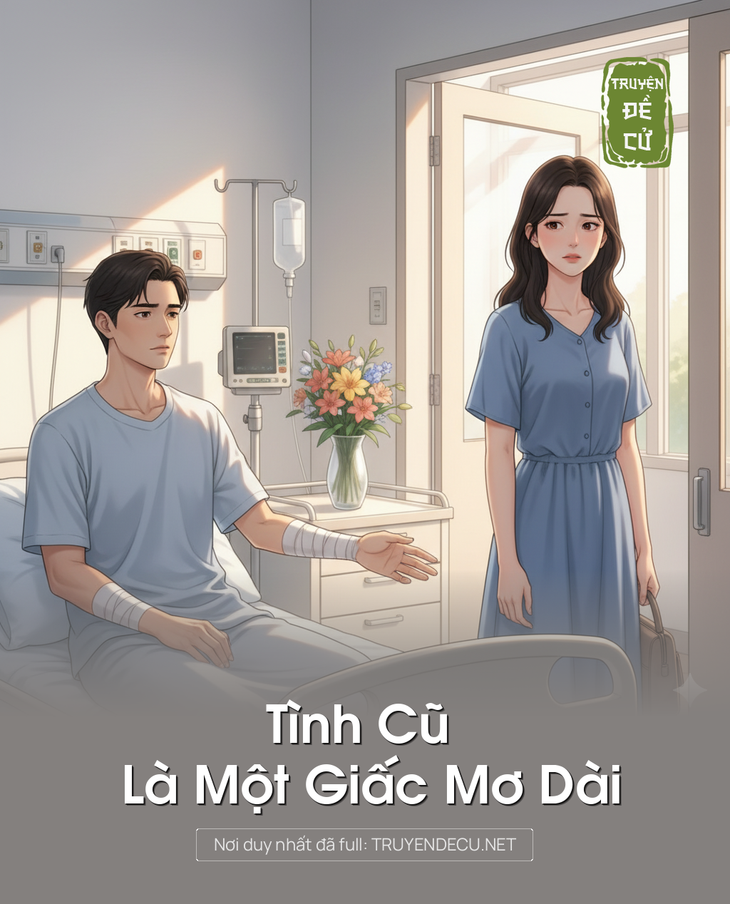 
                            Tình Cũ Là Một Giấc Mơ Dài