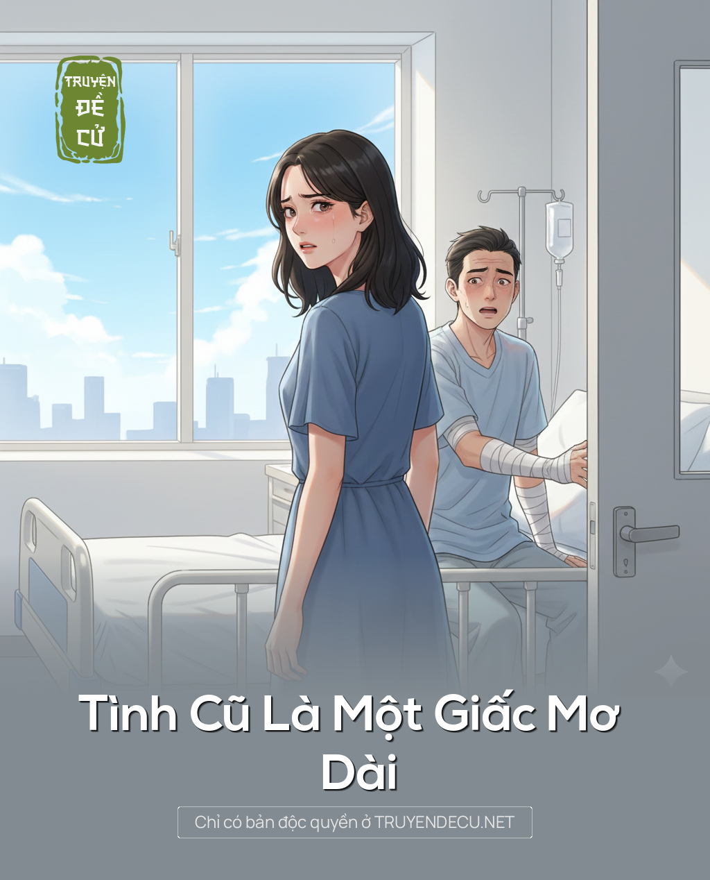 
                            Tình Cũ Là Một Giấc Mơ Dài