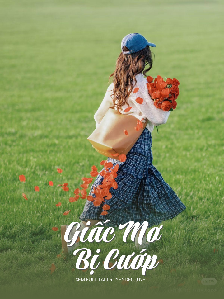 Giấc Mơ Bị Cướp