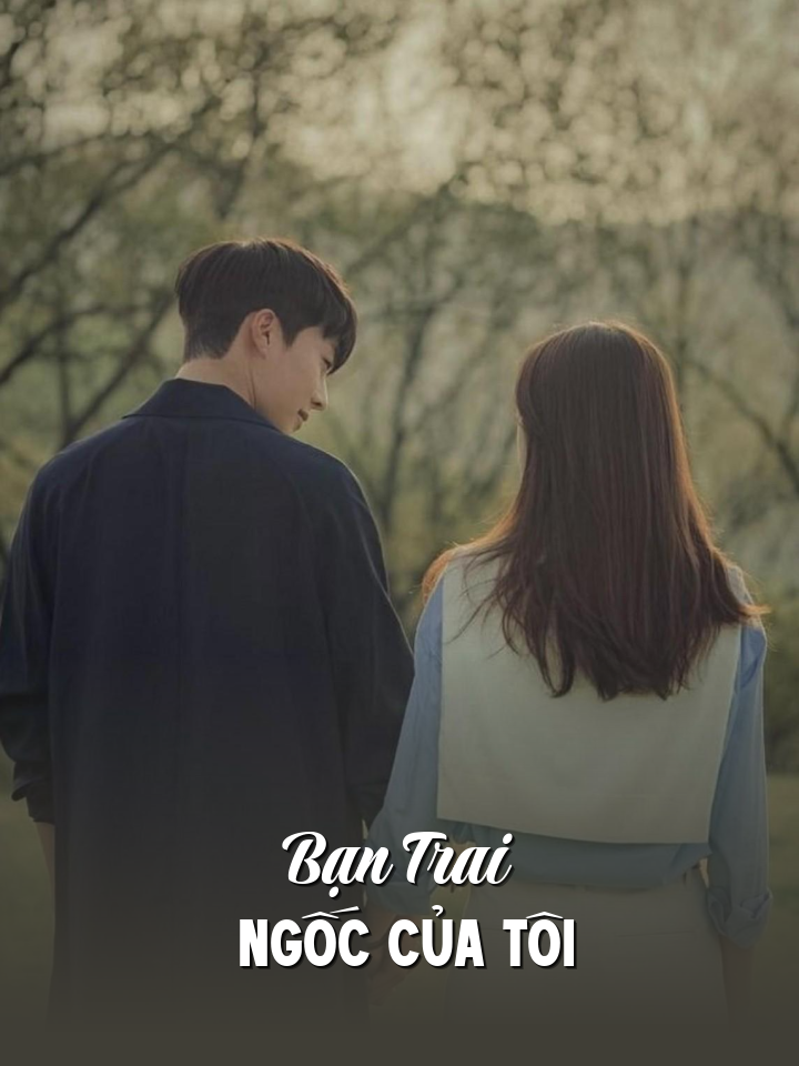 
                            Bạn Trai Ngốc Của Tôi