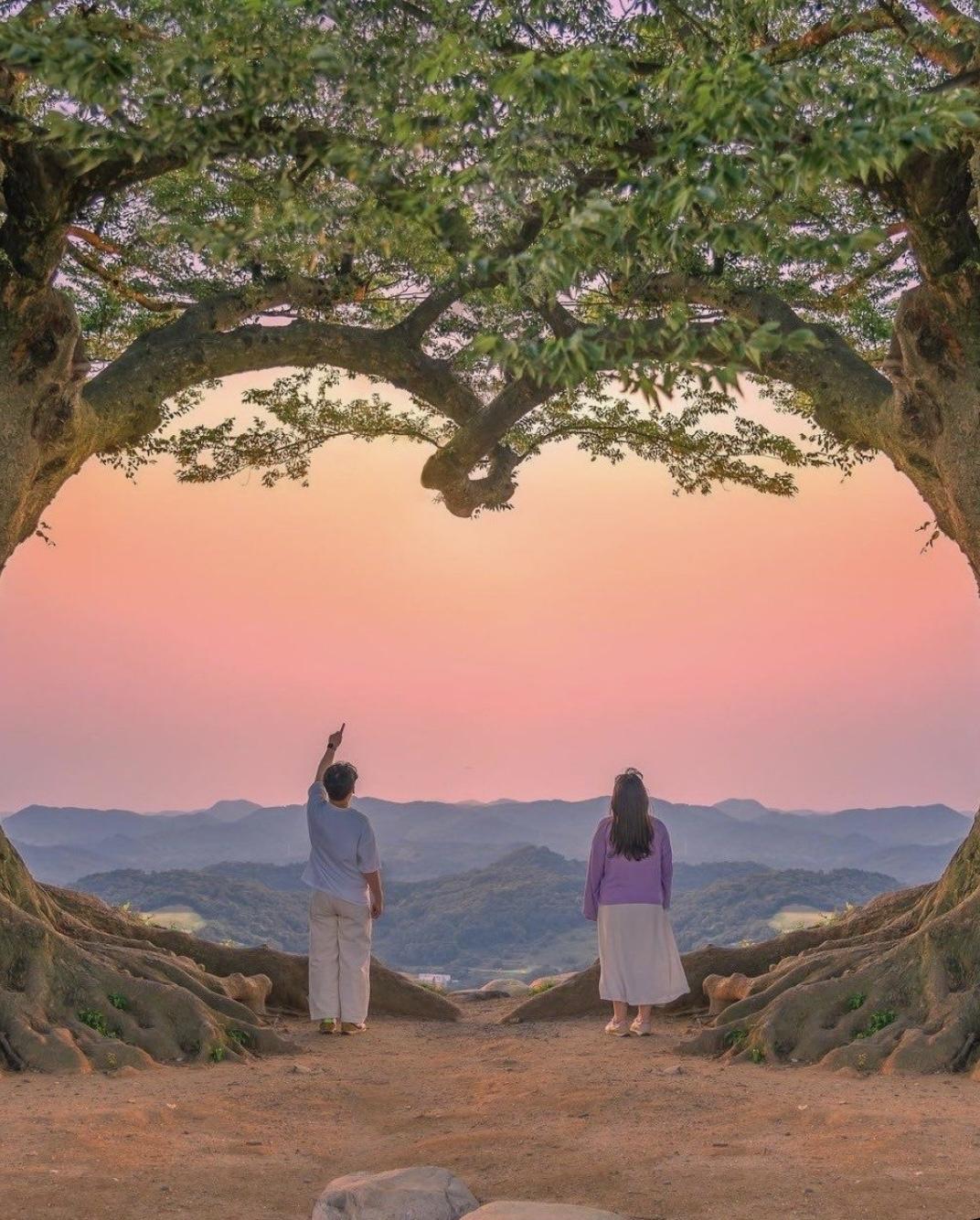 
                            Tôi Quên Anh Rồi