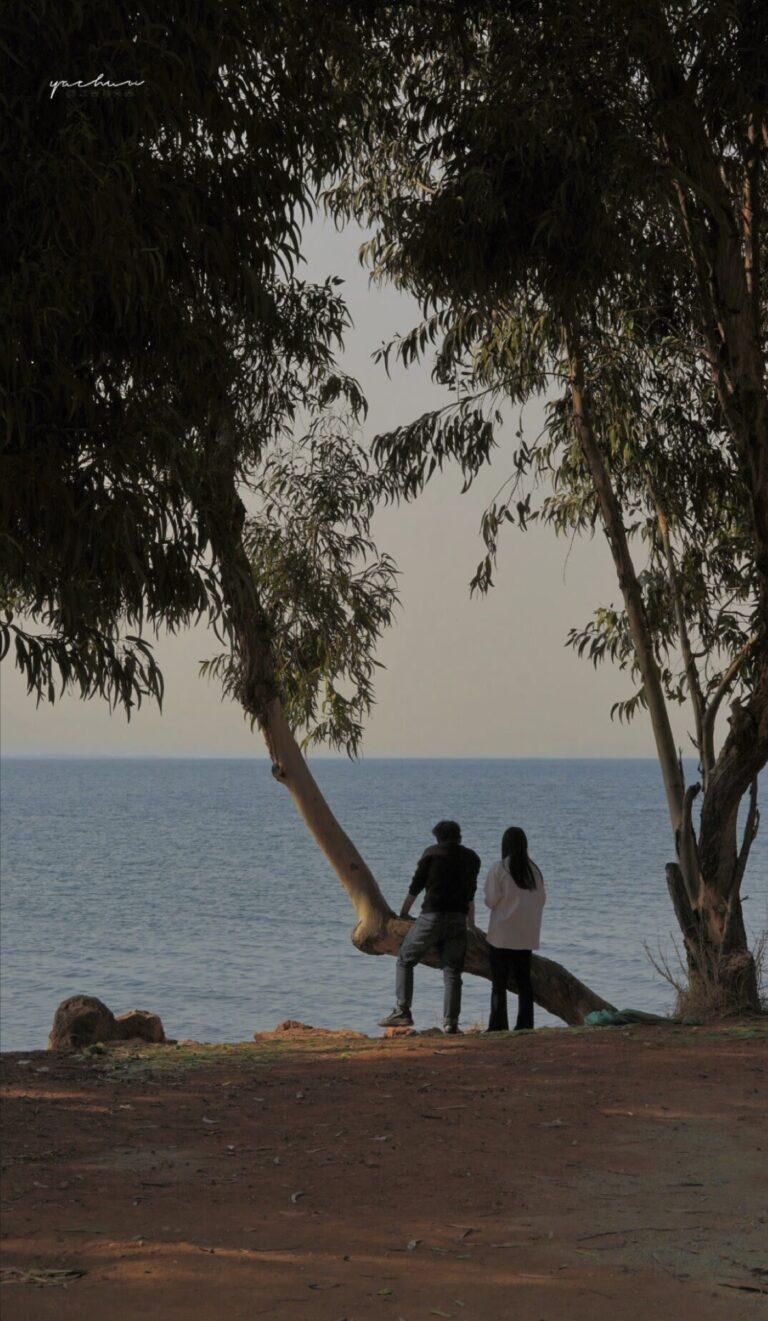 
                            Chúng Ta Sẽ Mãi Mãi Lạc Mất Nhau