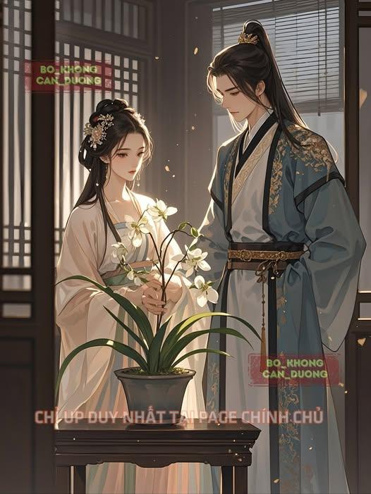 Hòa Ly Không Hối Tiếc Full