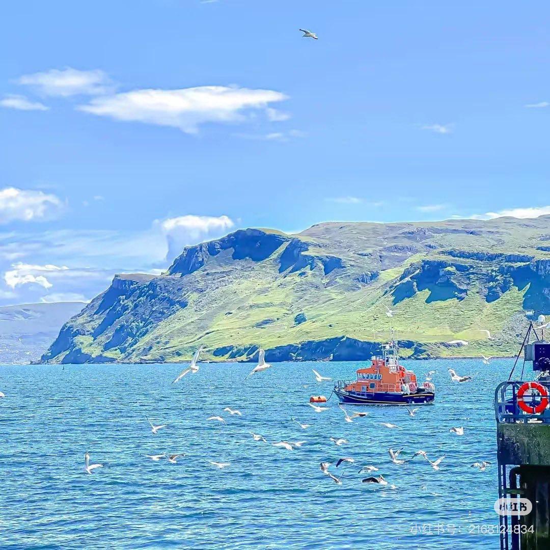 
                            Thứ Gọi Là Yêu, Đã Quá Trễ Rồi