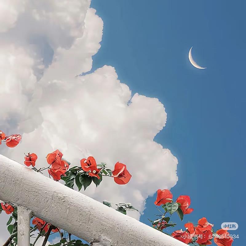 Năm Năm Gả Sai Người