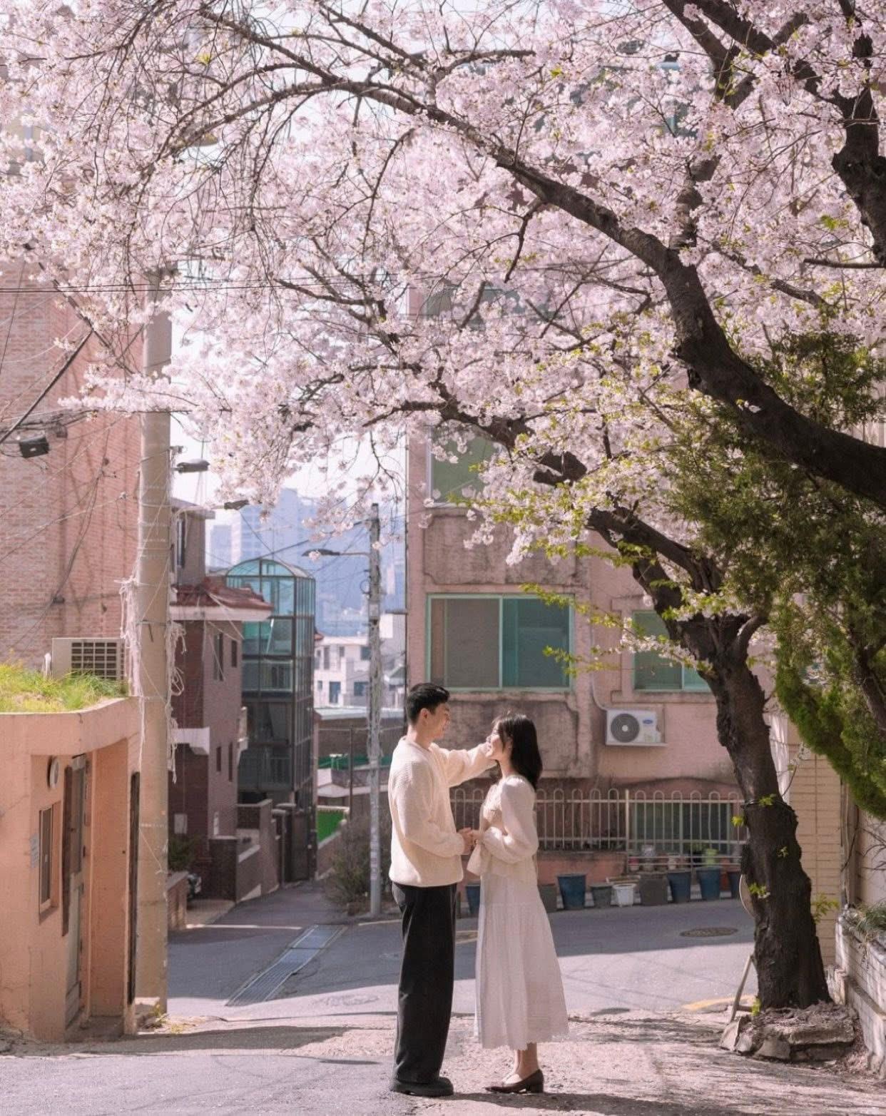 
                            Cú Đá Dành Cho Anh