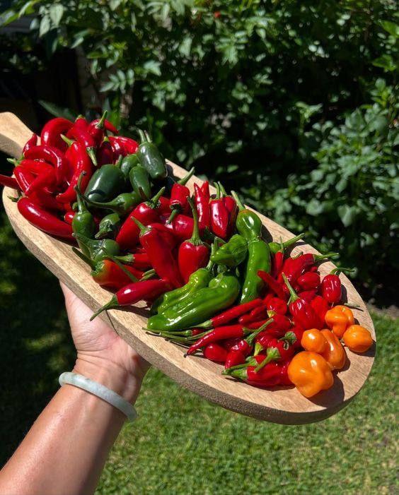 
                            Ngày Thiên Kim Thật Về Nhà