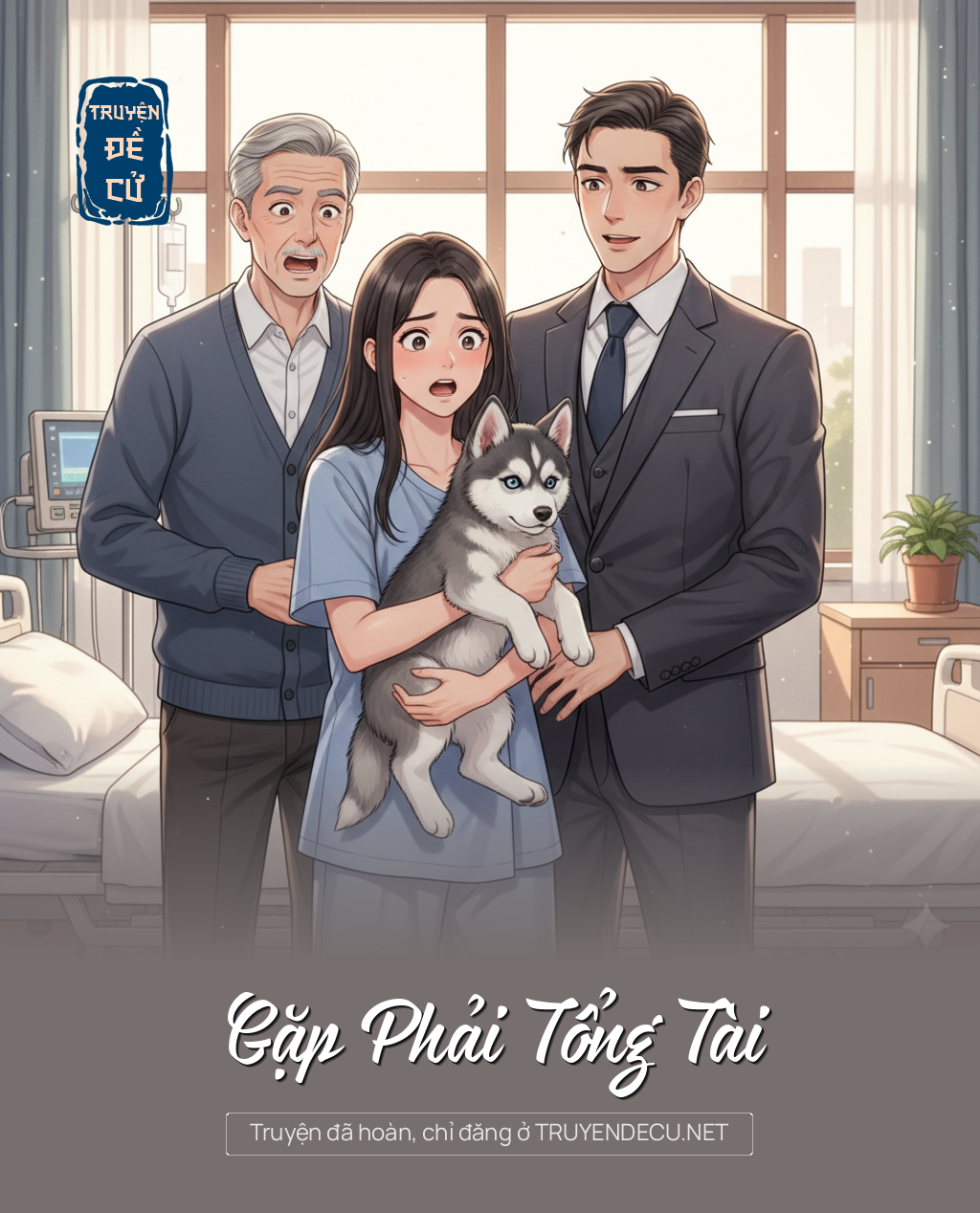 Gặp Phải Tổng Tài