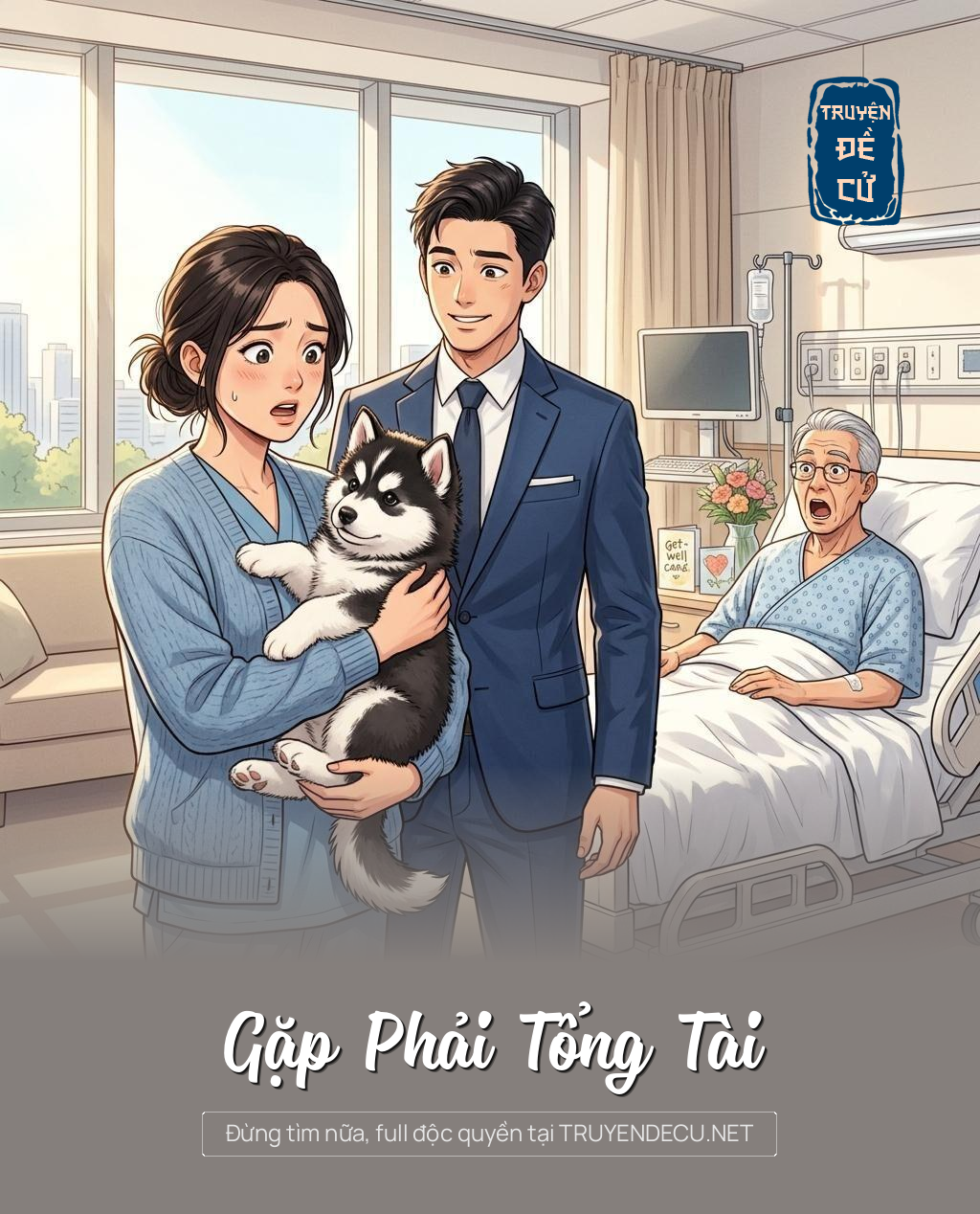 Gặp Phải Tổng Tài
