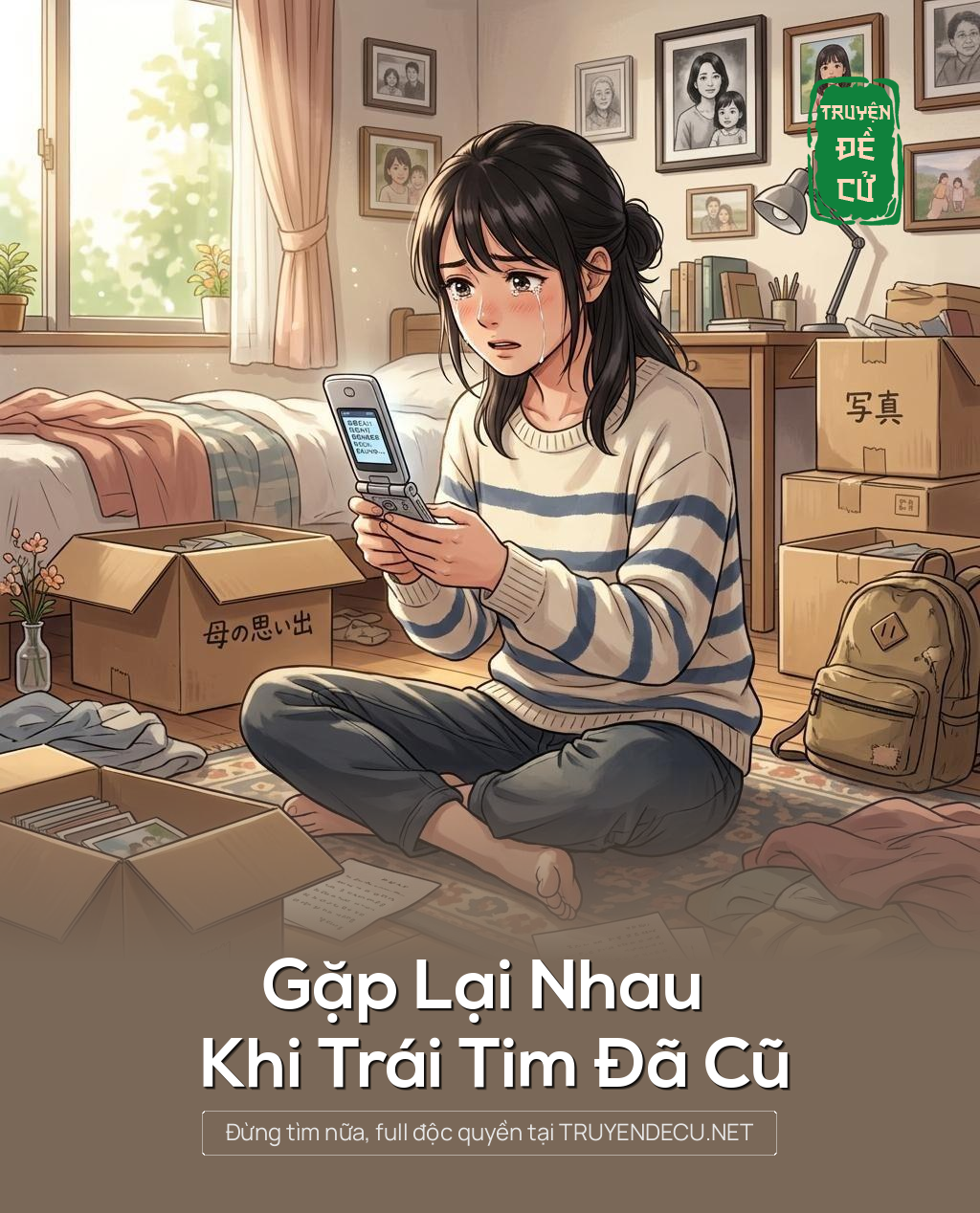 Gặp Lại Nhau Khi Trái Tim Đã Cũ